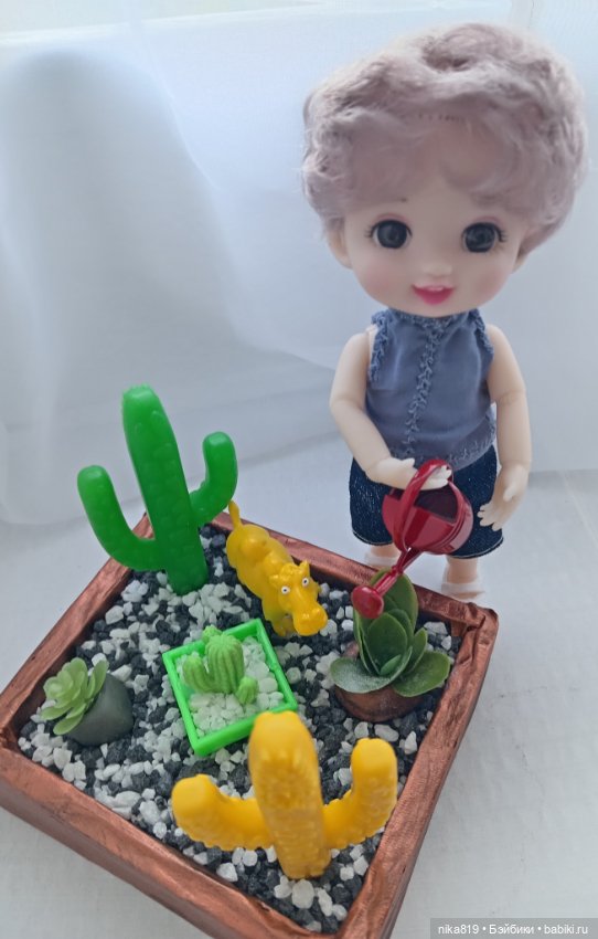 Суккулентный садик — Болталка и разговоры обо всем: жизнь (фото 3)