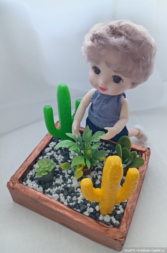 Суккулентный садик — Болталка и разговоры обо всем: жизнь (фото 2)