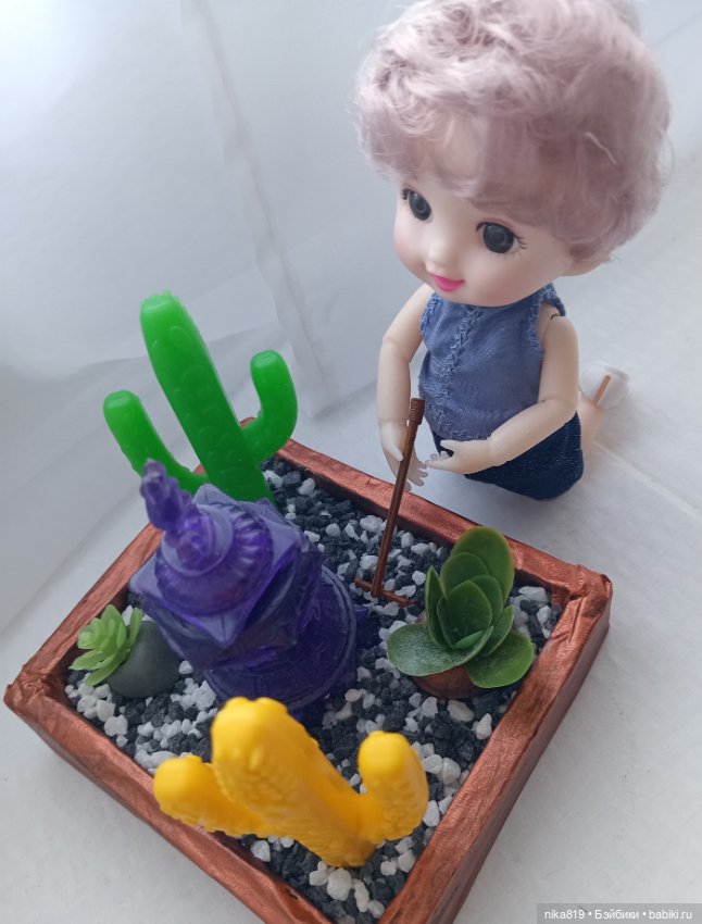 Суккулентный садик — Болталка и разговоры обо всем: жизнь