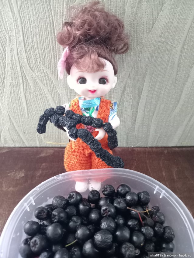 Рябинник — Болталка и разговоры обо всем: жизнь (фото 2)