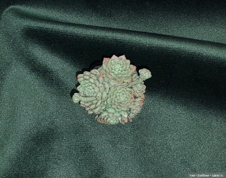 Монстрик Суккулентик — Лепка авторских игрушек и папье