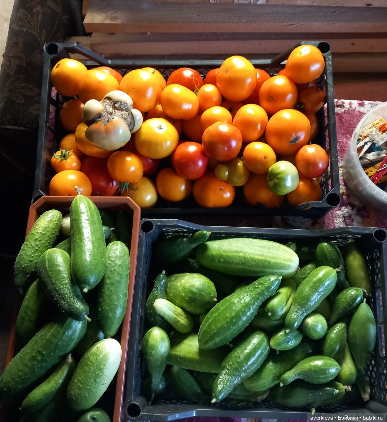 Труд облагораживает огра — Интересные игрушки и фигурки (разное): редкие (фото 9)