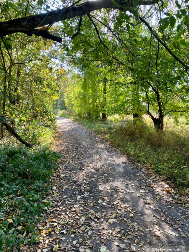 Бабье лето с любимой петиткой (фото 10)