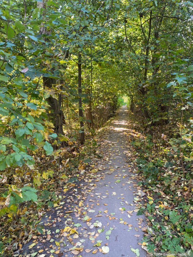 Бабье лето с любимой петиткой (фото 2)