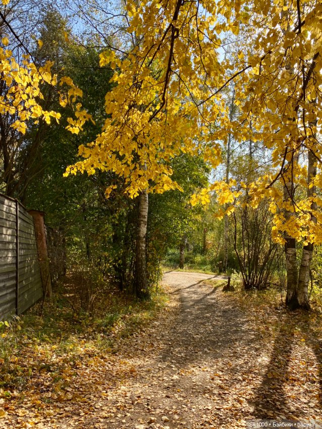 Бабье лето с любимой петиткой