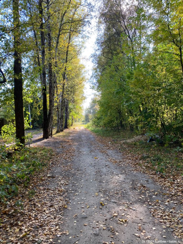 Бабье лето с любимой петиткой