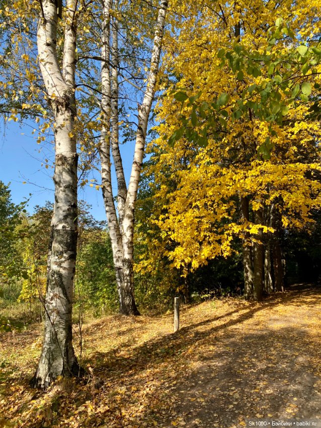 Бабье лето с любимой петиткой