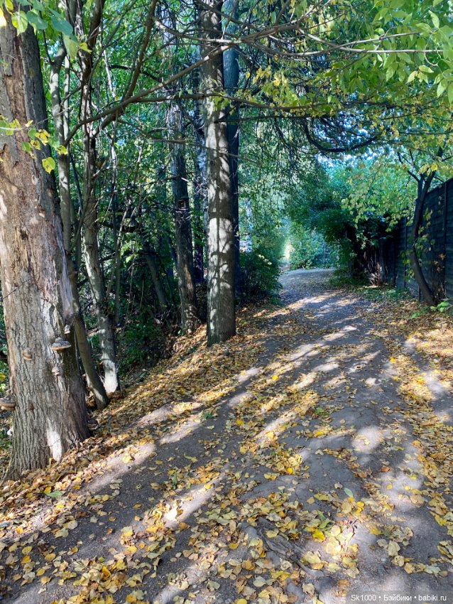 Бабье лето с любимой петиткой