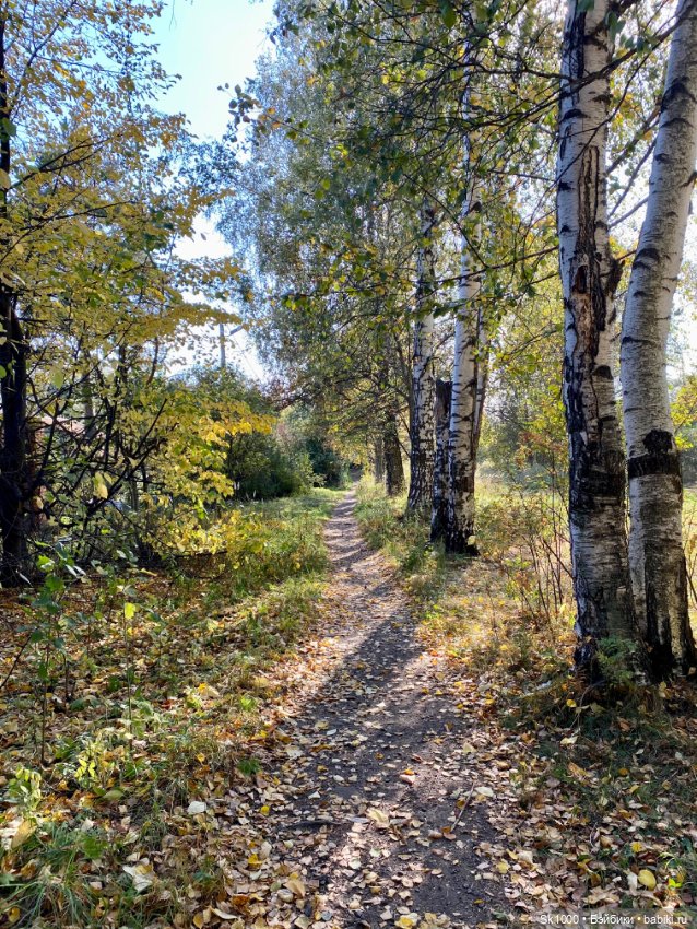 Бабье лето с любимой петиткой