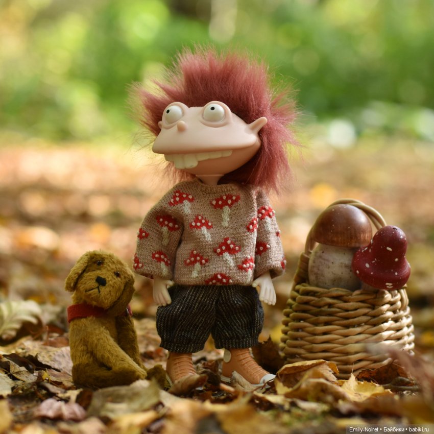 По грибы — Игровые куклы разных производителей (Разное): редкие бренды (фото 3)