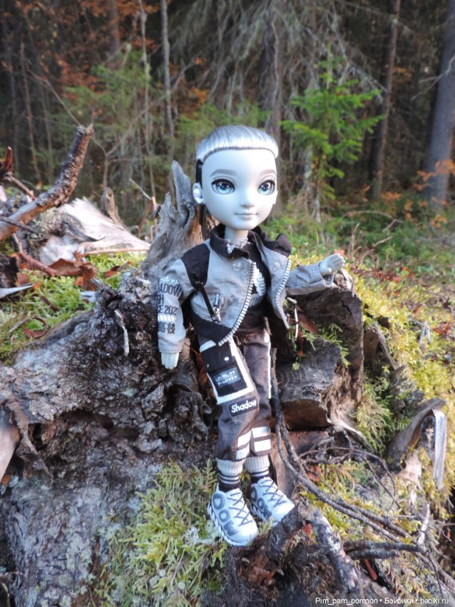 Тени в осеннем лесу — Куклы Rainbow High (Рейнбоу Хай (фото 3)