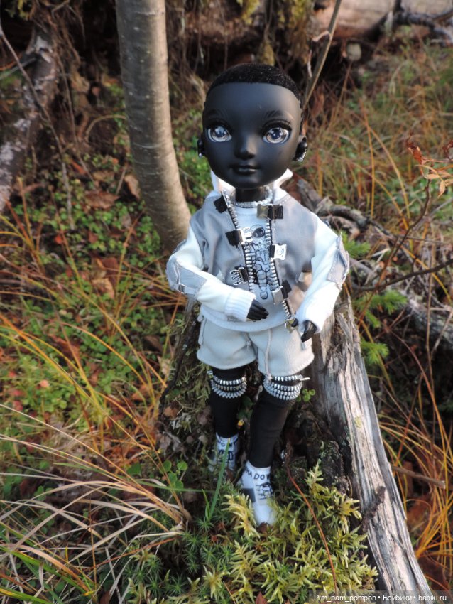 Тени в осеннем лесу — Куклы Rainbow High (Рейнбоу Хай