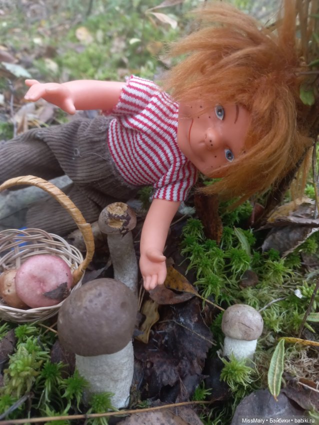 Как братья Колючкины по грибы ходили