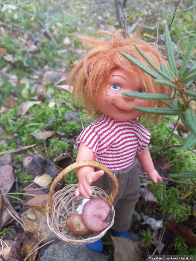 Как братья Колючкины по грибы ходили (фото 7)