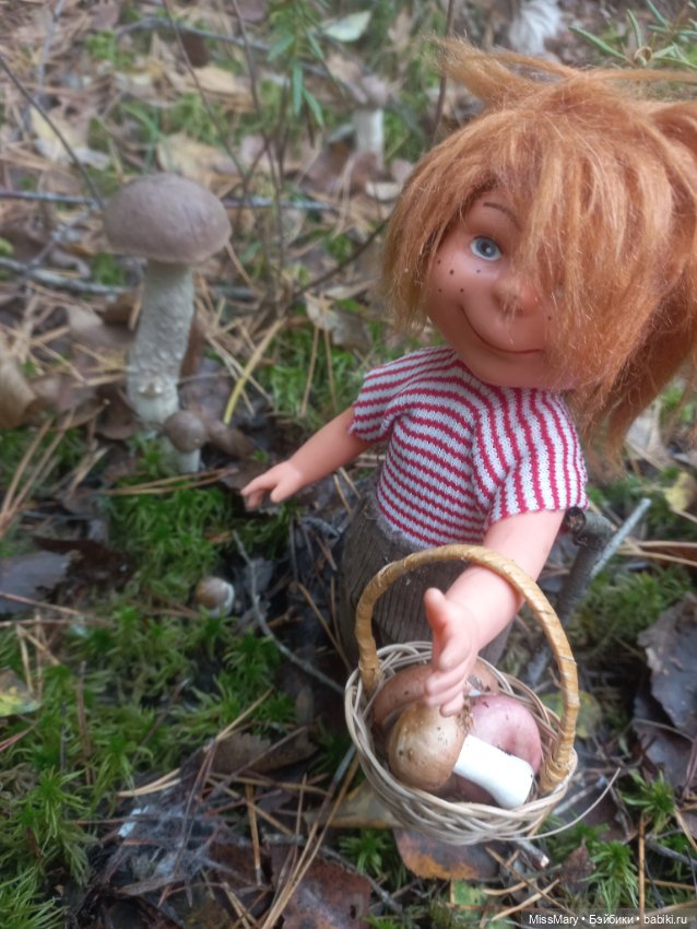 Как братья Колючкины по грибы ходили