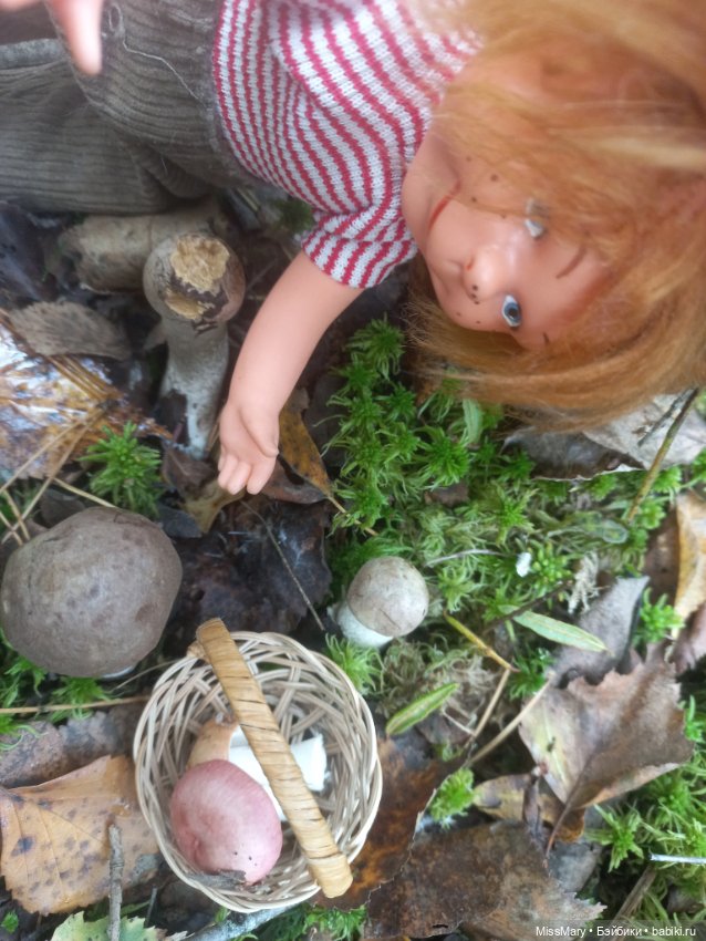 Как братья Колючкины по грибы ходили