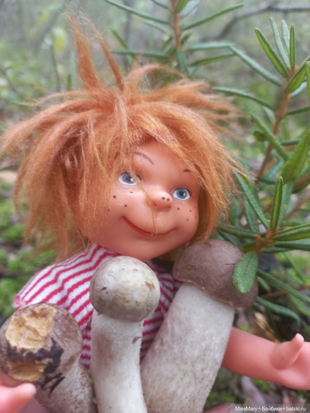 Как братья Колючкины по грибы ходили