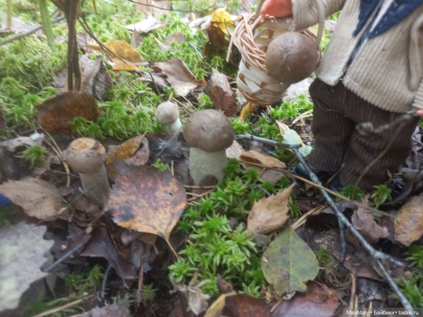 Как братья Колючкины по грибы ходили (фото 9)