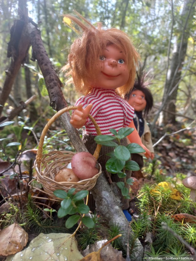 Как братья Колючкины по грибы ходили