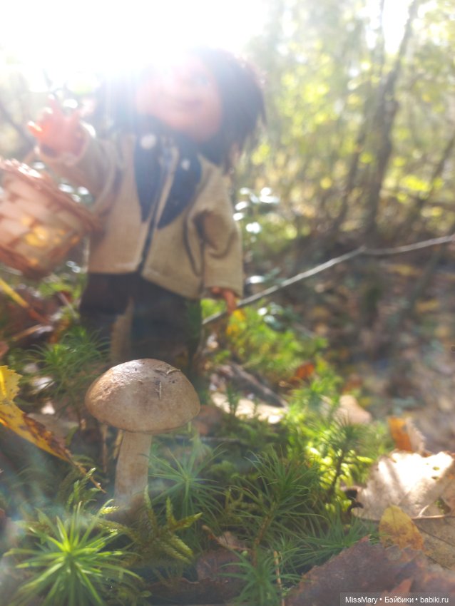 Как братья Колючкины по грибы ходили (фото 3)