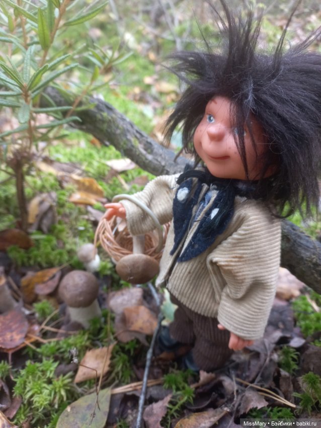 Как братья Колючкины по грибы ходили (фото 8)