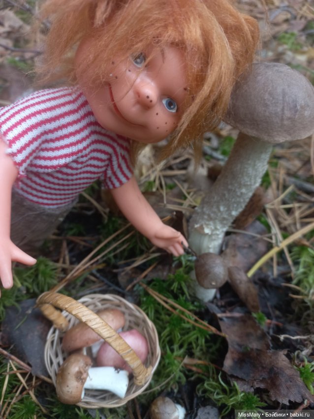 Как братья Колючкины по грибы ходили