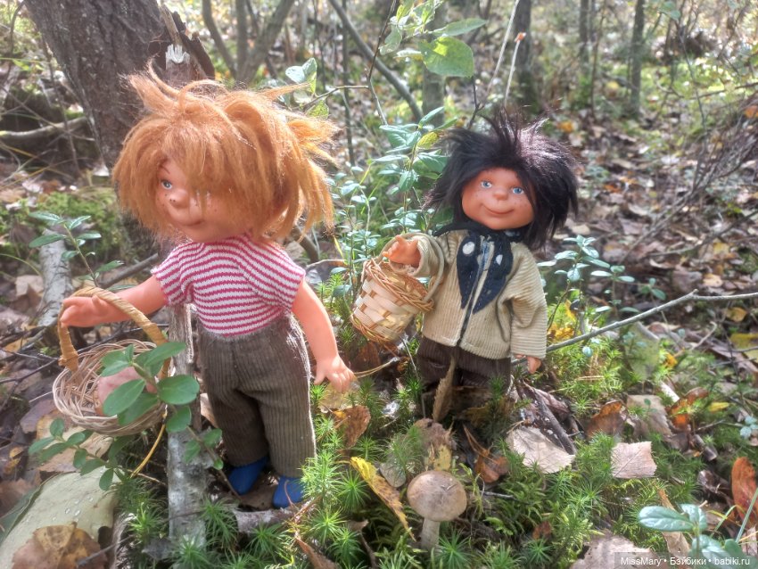 Как братья Колючкины по грибы ходили (фото 5)