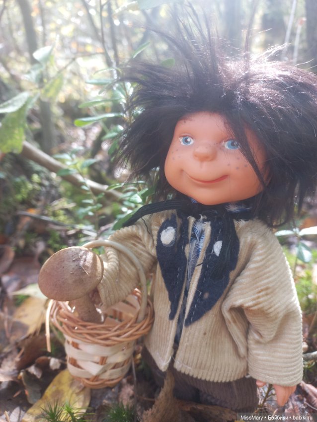 Как братья Колючкины по грибы ходили (фото 6)