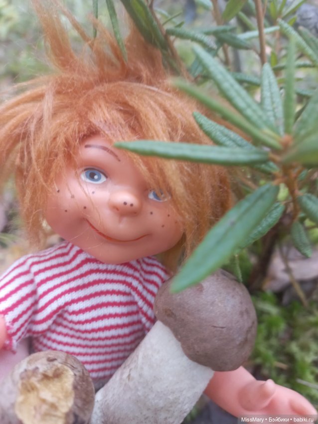 Как братья Колючкины по грибы ходили