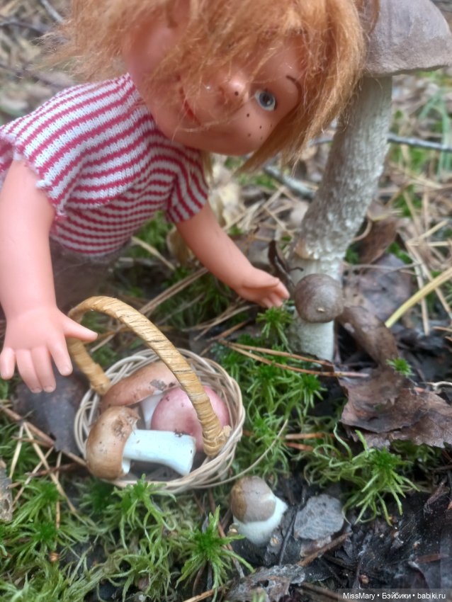 Как братья Колючкины по грибы ходили