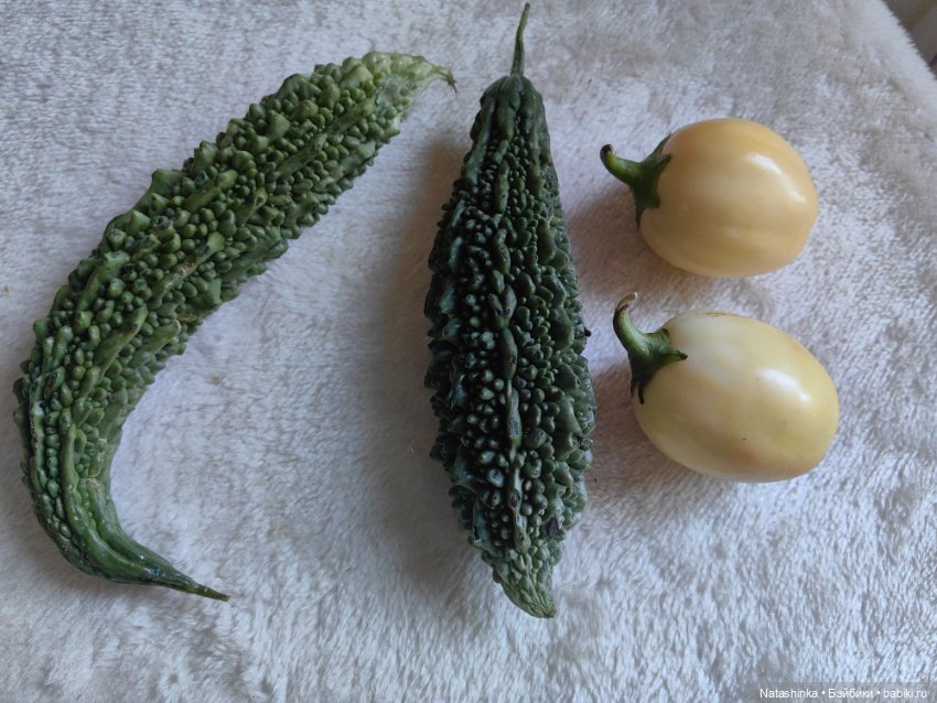 Музыкальная История 50 — Туризм и путешествия: фотоотчеты из поездок (фото 8)