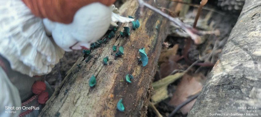 Пеннивайз в своей стихии — Разные шарнирные куклы (не БЖД): редкие (фото 10)