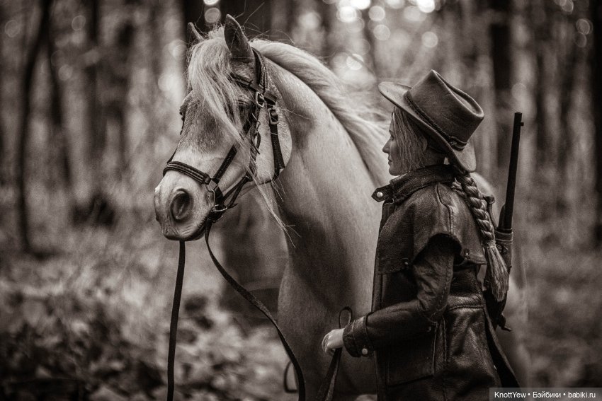 Вестерн история — Коллекционные экшн (фото 8)