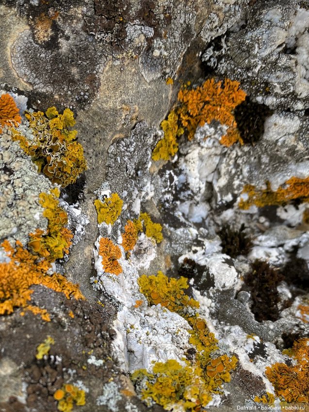 Фёкла — Куклы Milim Studio (Милим): российские БЖД (фото 4)