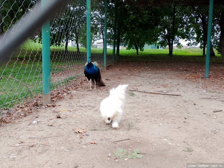 На экскурсии в Кабардино Балкарии