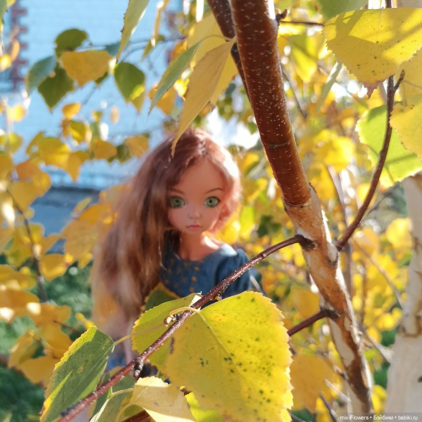 Эту сказку золотую Называют «листопад»... 🍂🍁🍂