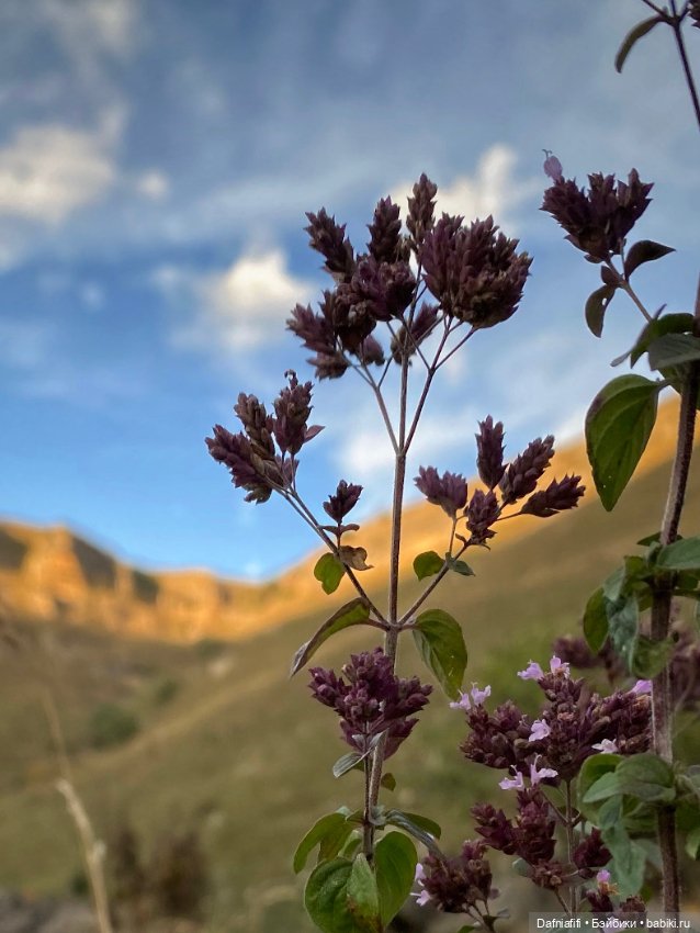 Фёкла — Куклы Milim Studio (Милим): российские БЖД