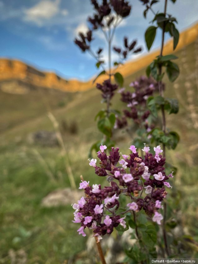 Фёкла — Куклы Milim Studio (Милим): российские БЖД