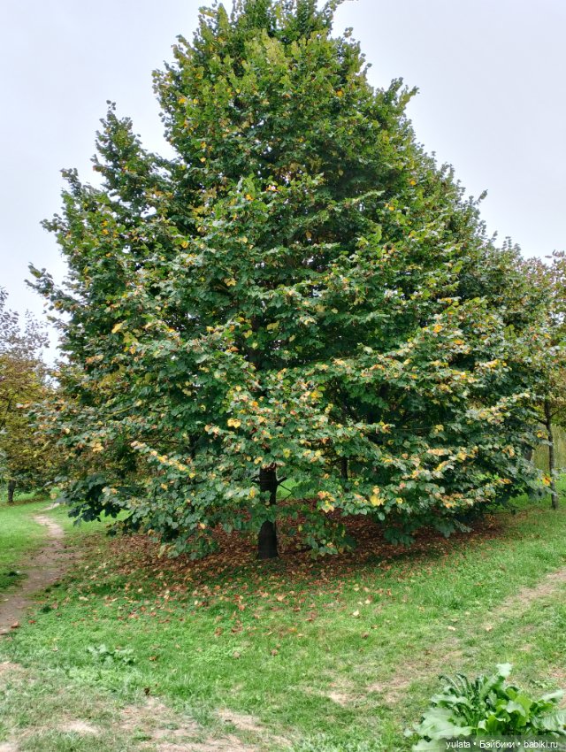 На экскурсии в Кабардино Балкарии (фото 9)