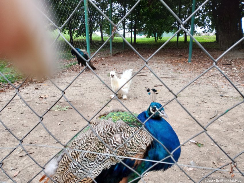 На экскурсии в Кабардино Балкарии (фото 4)