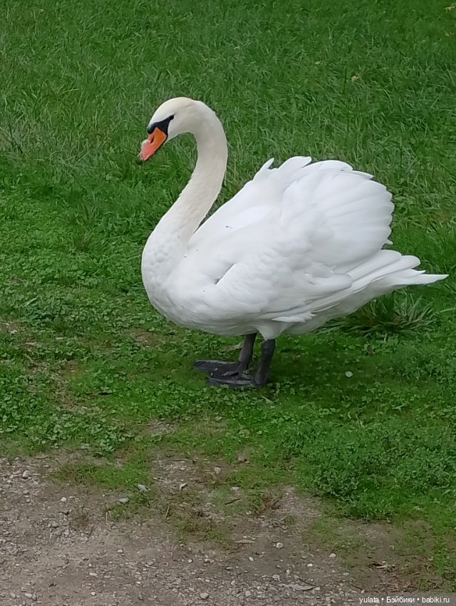 На экскурсии в Кабардино Балкарии (фото 3)