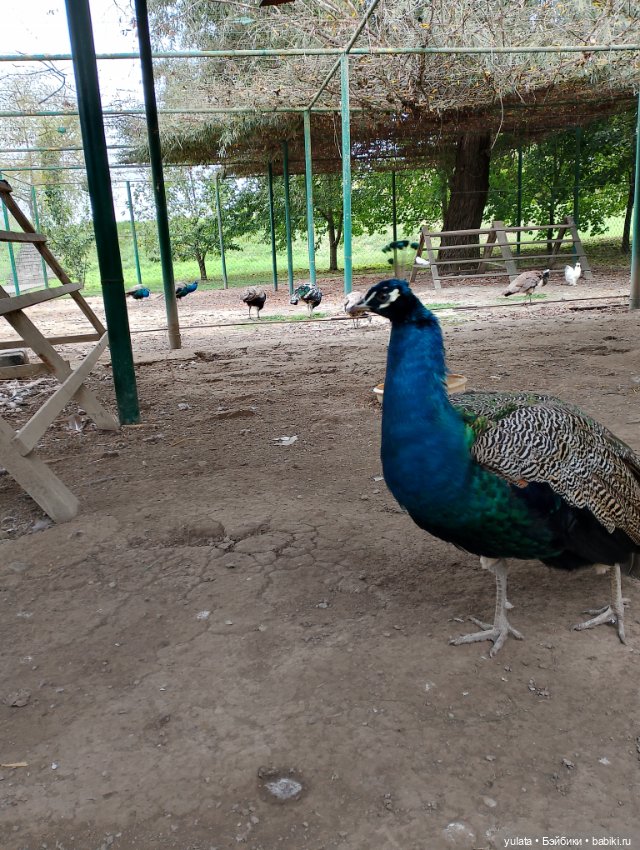 На экскурсии в Кабардино Балкарии (фото 8)