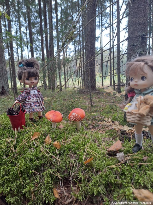 Осенние хлопоты — Разные шарнирные куклы (не БЖД): редкие