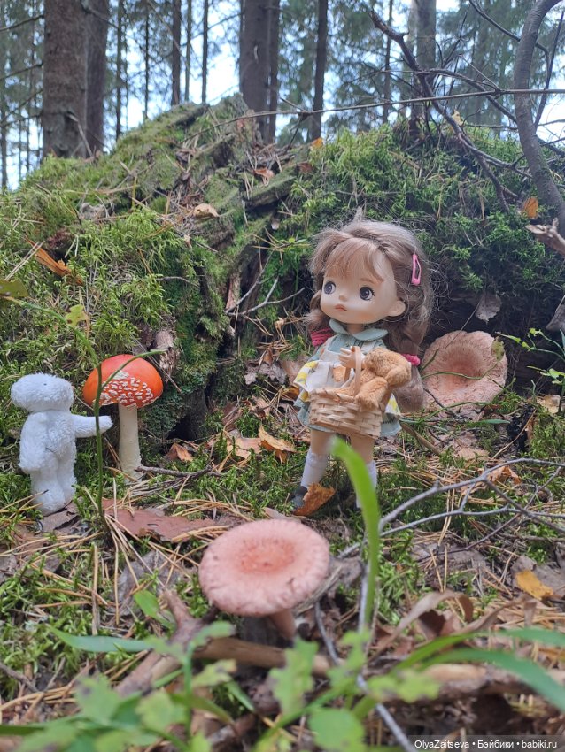 Осенние хлопоты — Разные шарнирные куклы (не БЖД): редкие