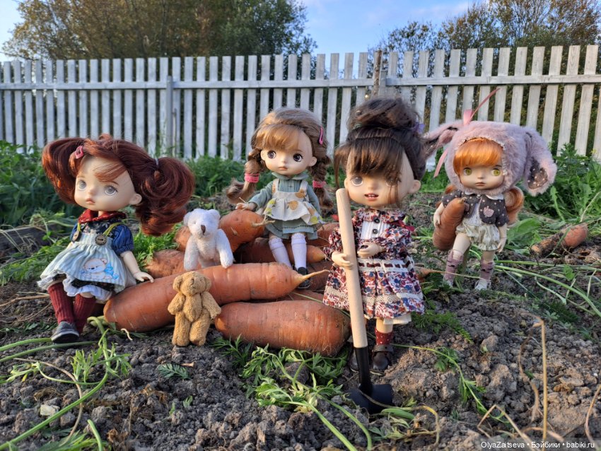 Осенние хлопоты — Разные шарнирные куклы (не БЖД): редкие (фото 7)