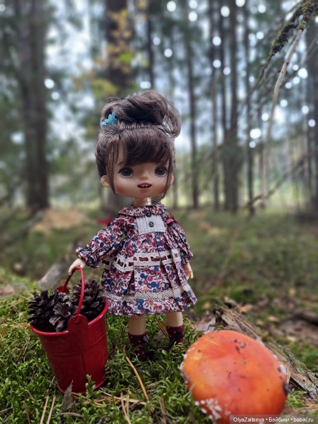 Осенние хлопоты — Разные шарнирные куклы (не БЖД): редкие