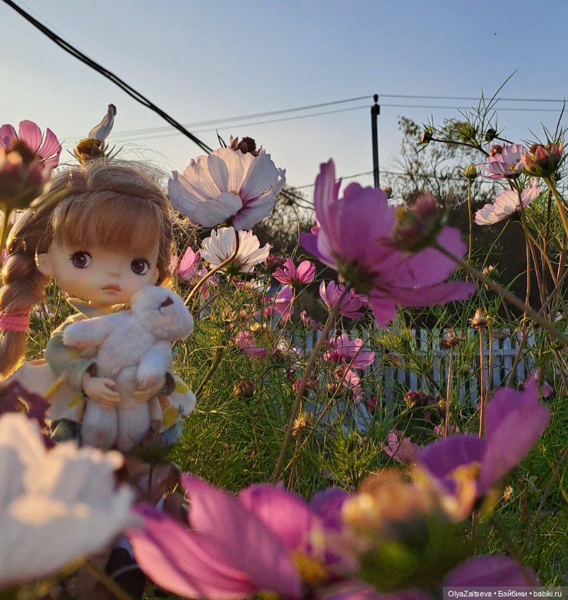 Осенние хлопоты — Разные шарнирные куклы (не БЖД): редкие