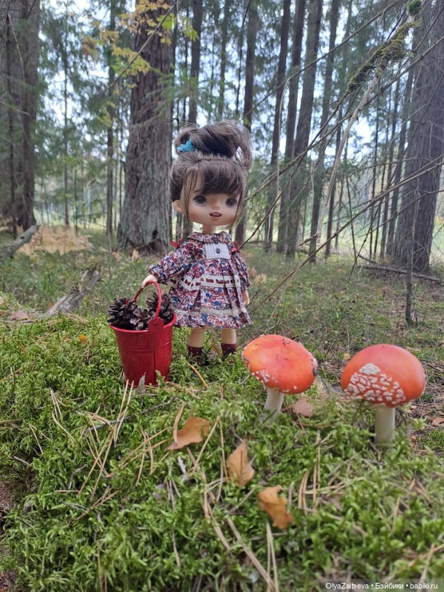 Осенние хлопоты — Разные шарнирные куклы (не БЖД): редкие