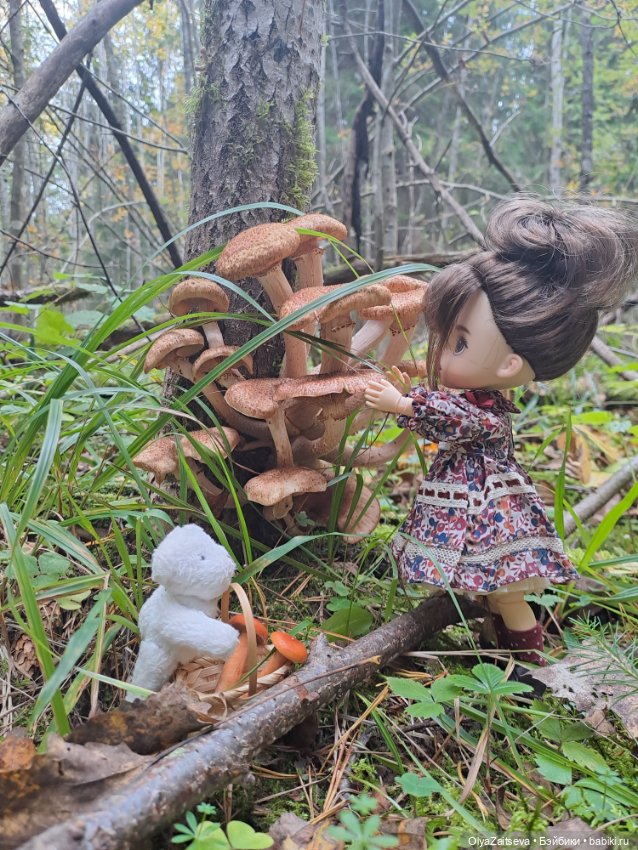 Осенние хлопоты — Разные шарнирные куклы (не БЖД): редкие