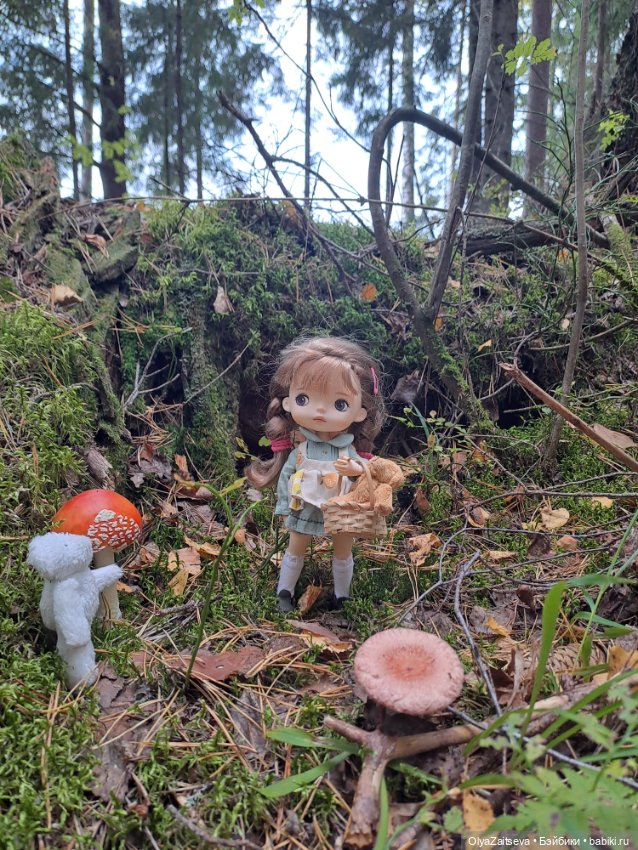 Осенние хлопоты — Разные шарнирные куклы (не БЖД): редкие